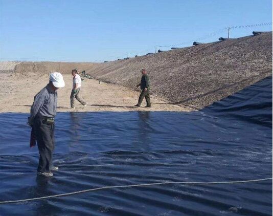 ��(f��)������Ĥ�Ĉ�(b��o)�r(ji��)